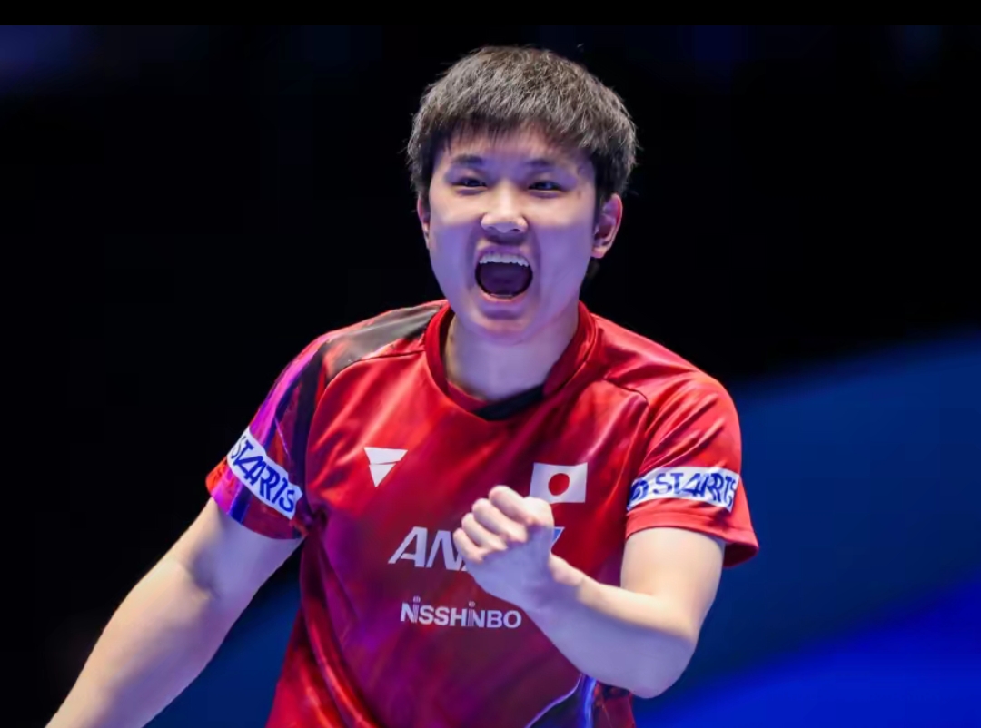 高水平的对 高水平的对