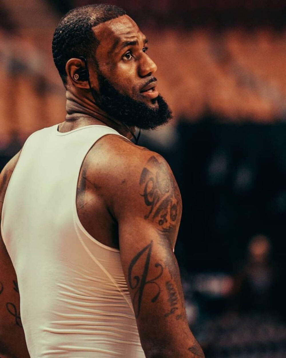 在三个维度 在三个维度